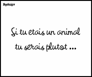 kestion